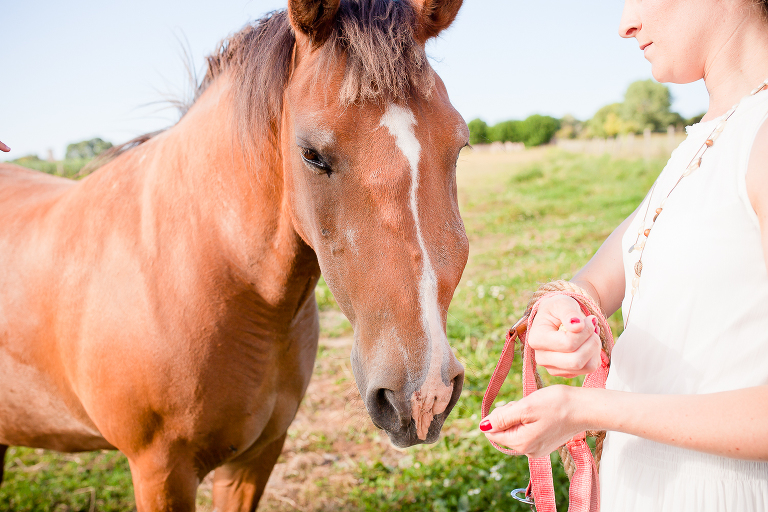 séance photo famille luc sur mer