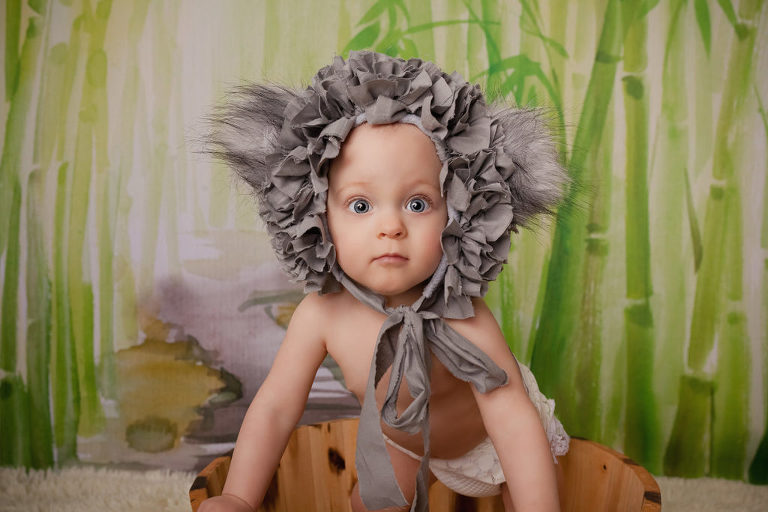 photo bebe koala caen