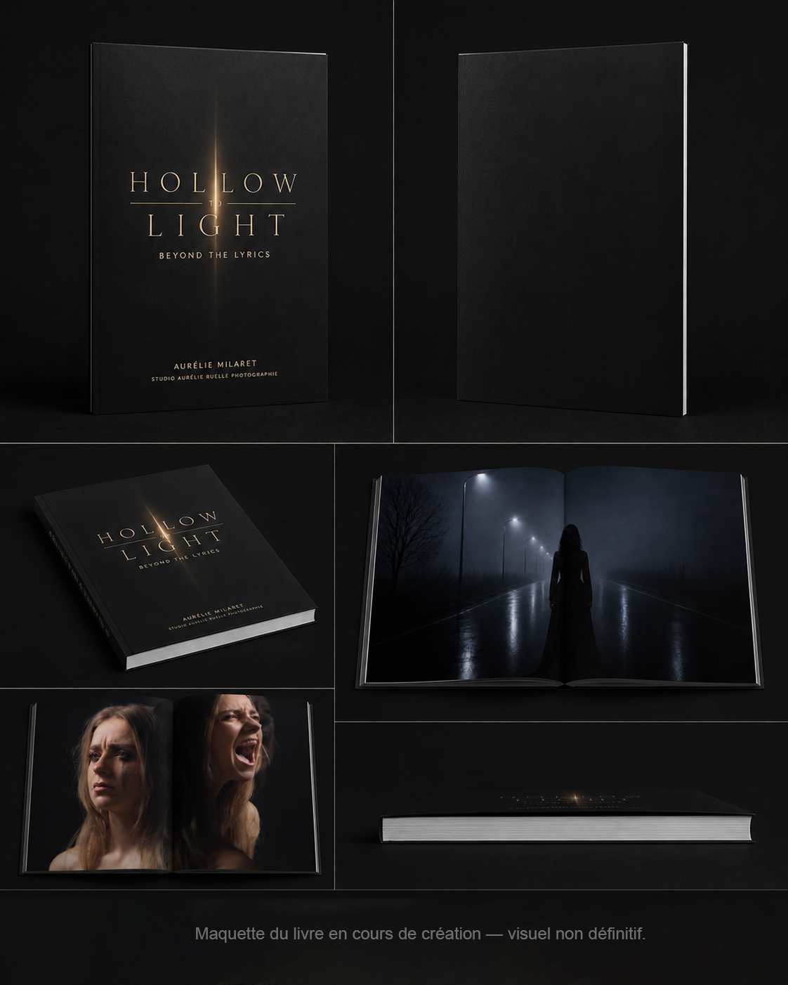 visuel-hollowtolight